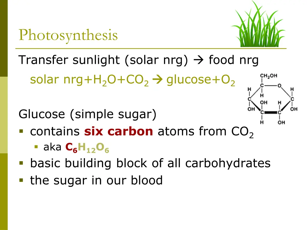 photosynthesis