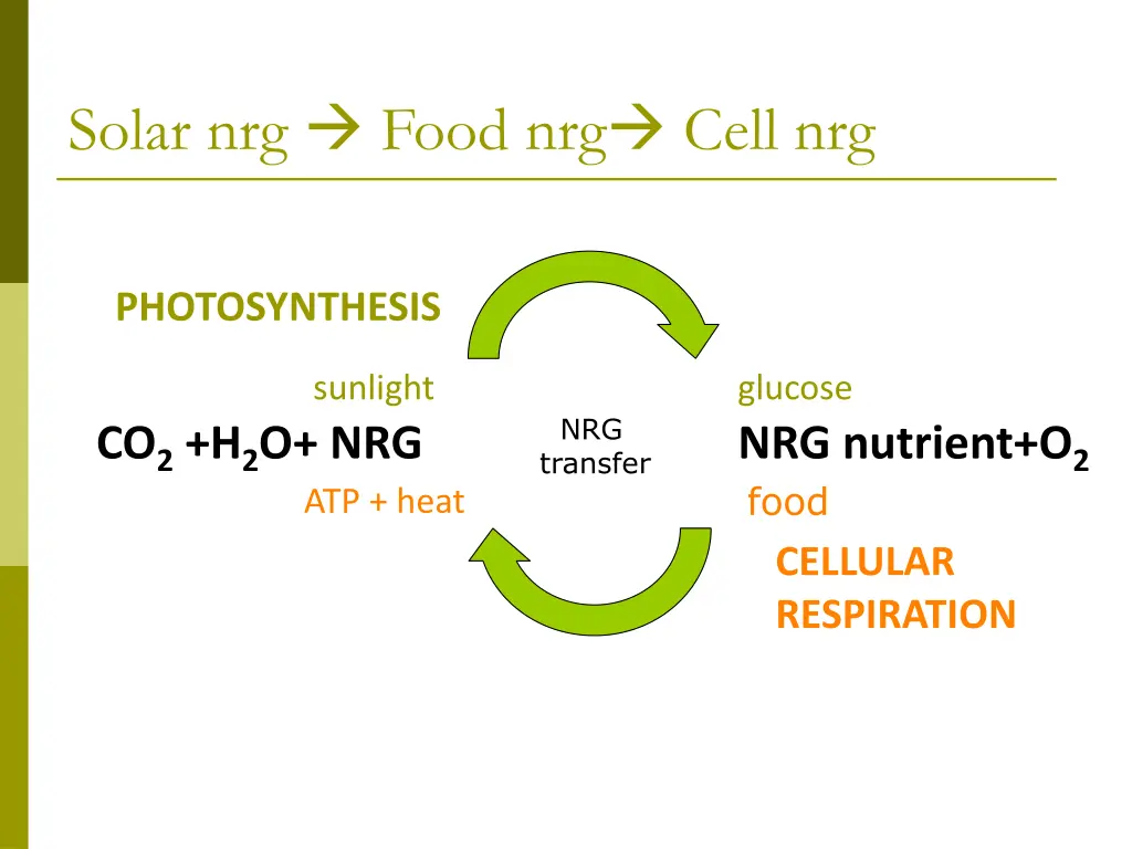 solar nrg food nrg cell nrg