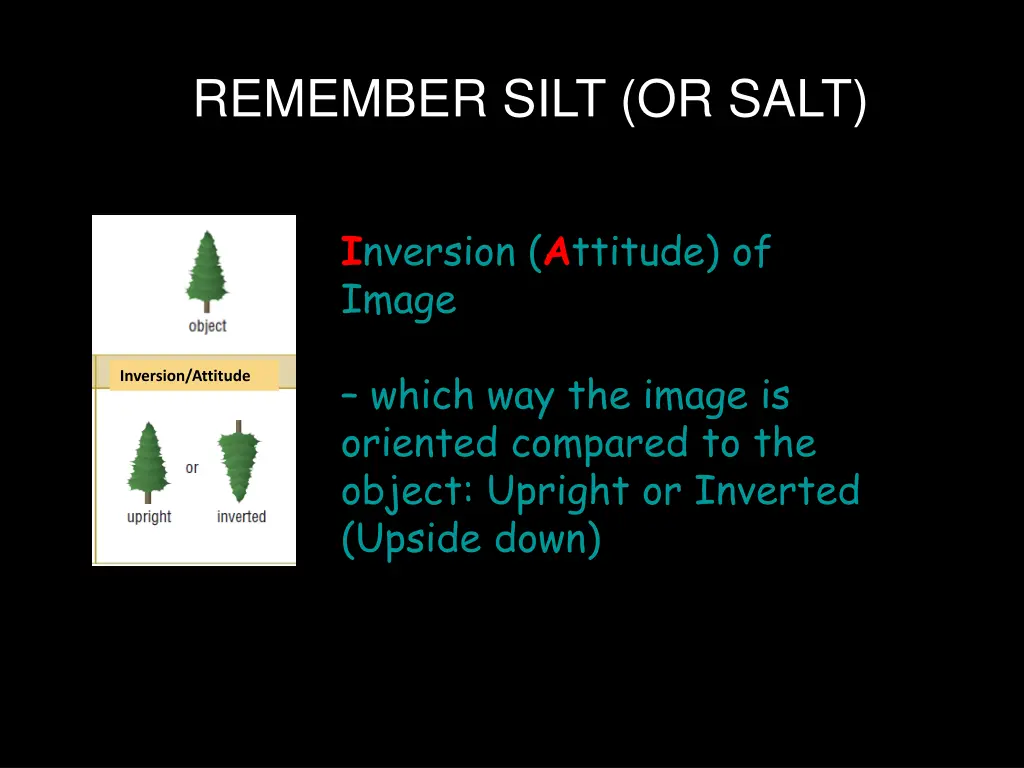 remember silt or salt 1