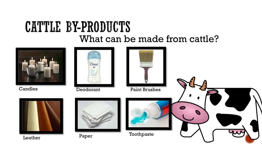 cattle by products