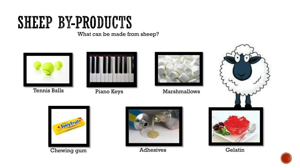 sheep by products