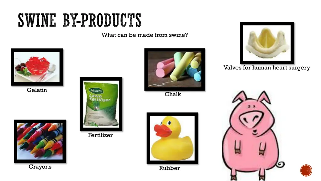 swine by products