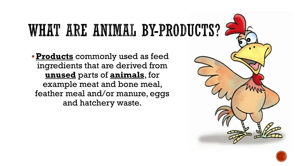 what are animal by products