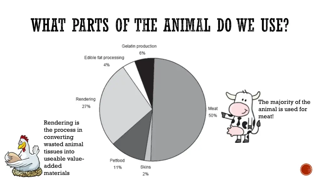 what parts of the animal do we use