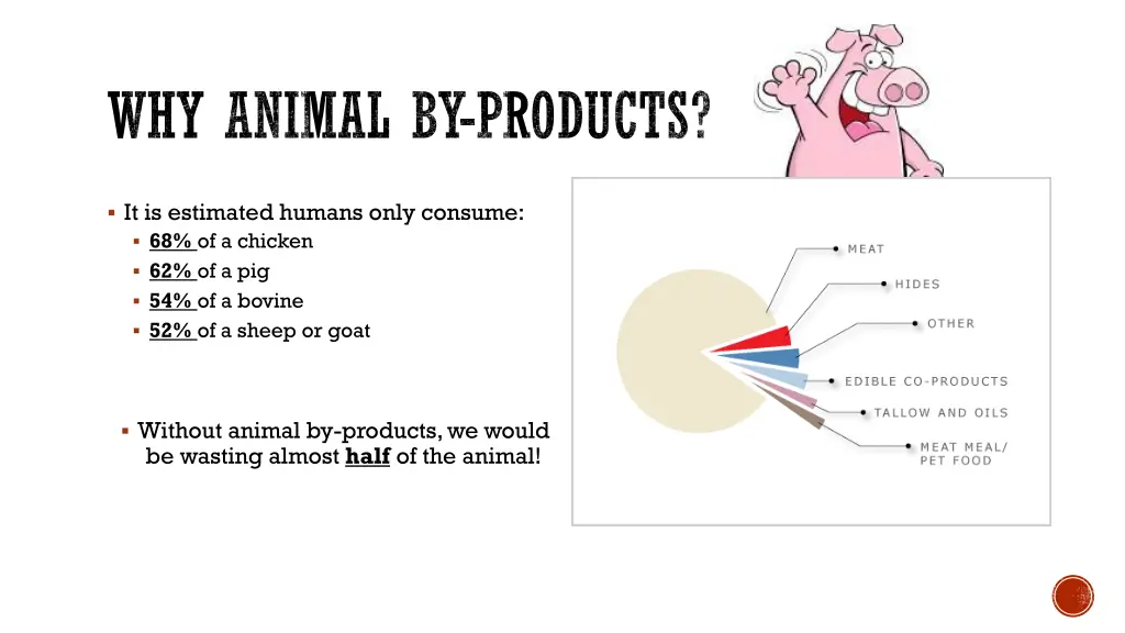 why animal by products