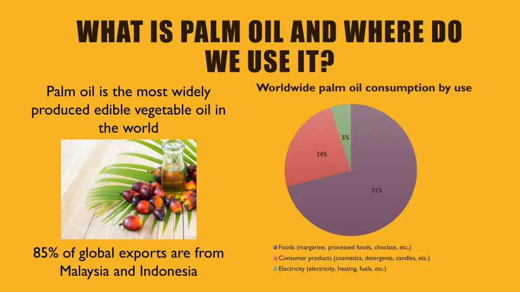 what is palm oil and where do we use it worldwide