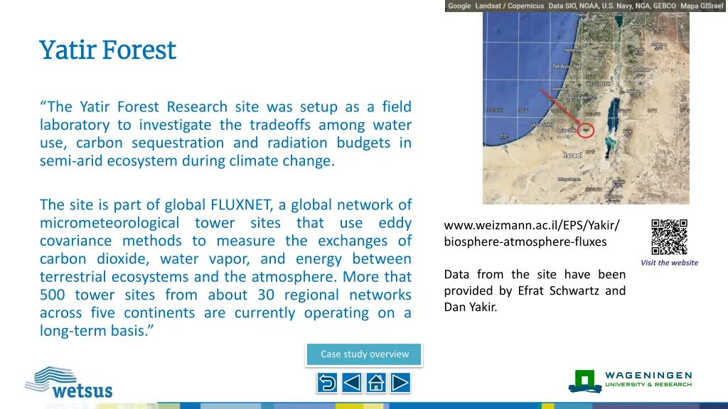 yatir yatir forest forest