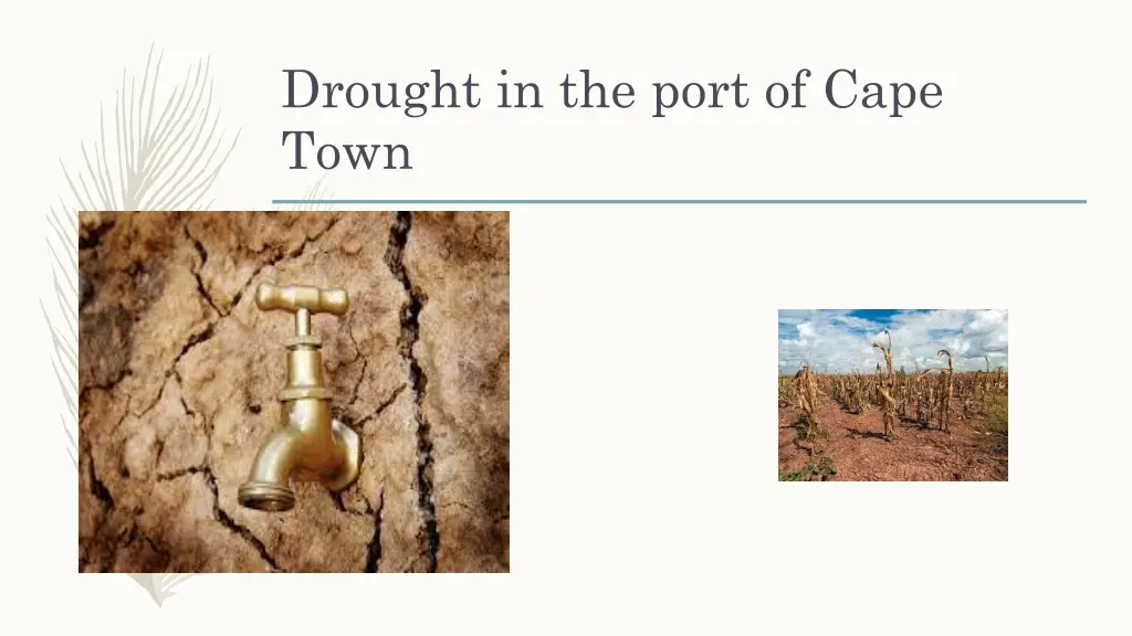 drought in the port of cape town