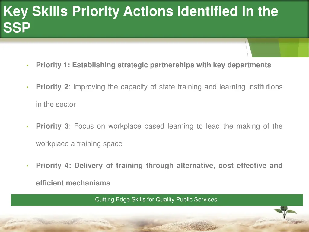 key skills priority actions identified in the ssp