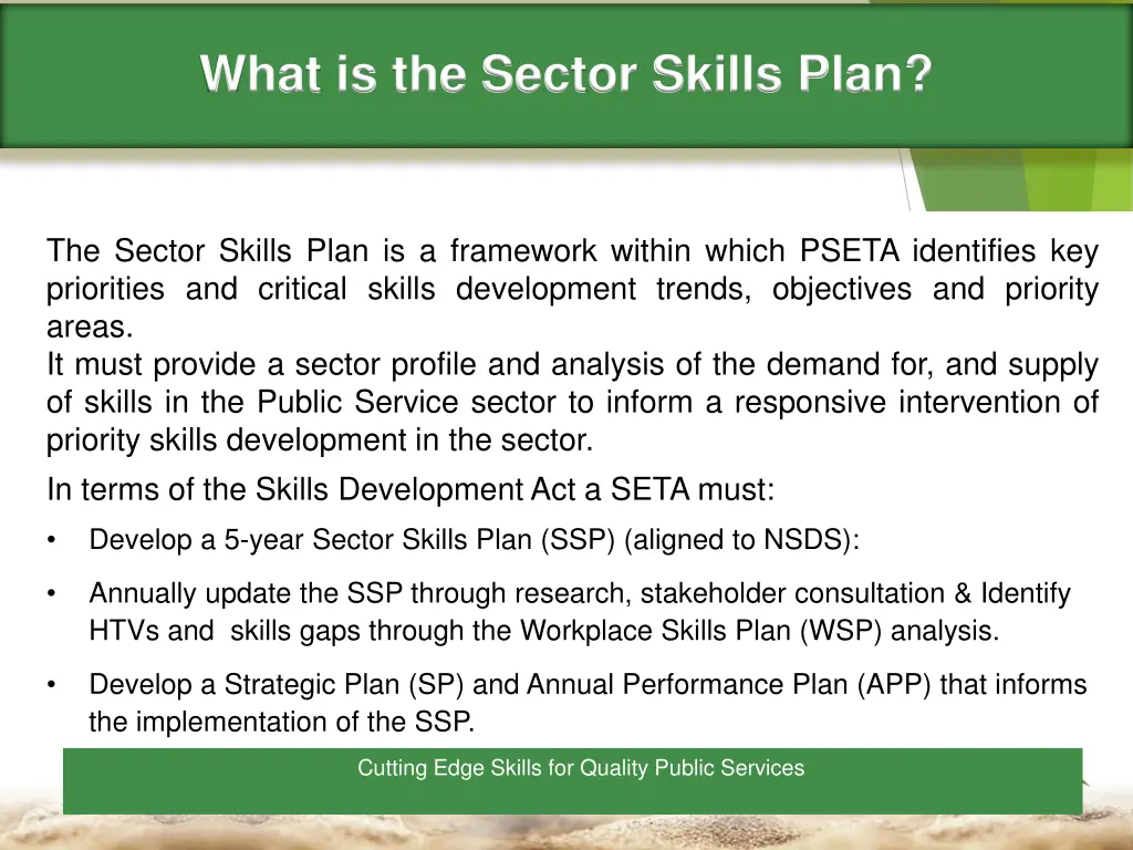 what is the sector skills plan