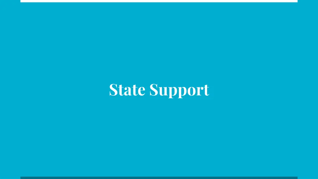 state support