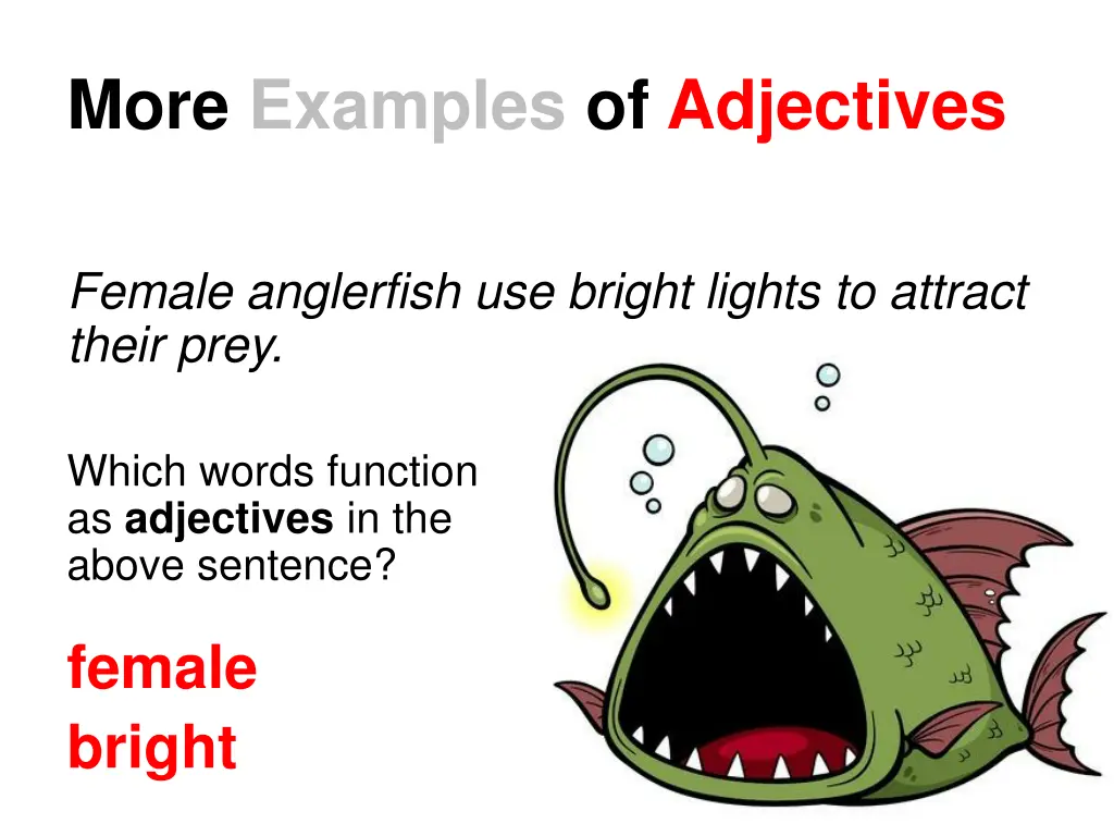 more examples of adjectives 1