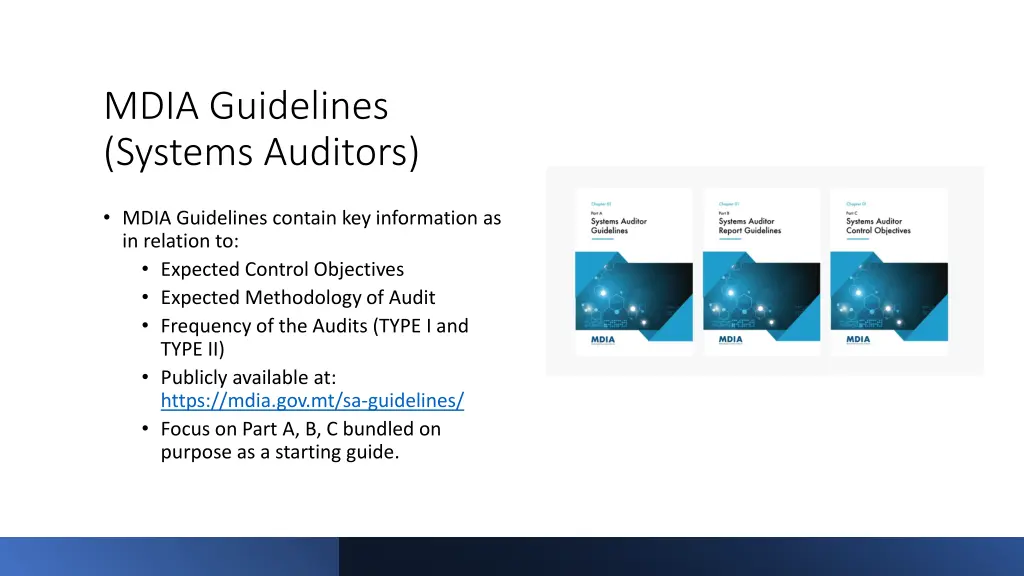 mdia guidelines systems auditors