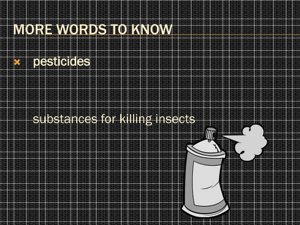 more words to know 2