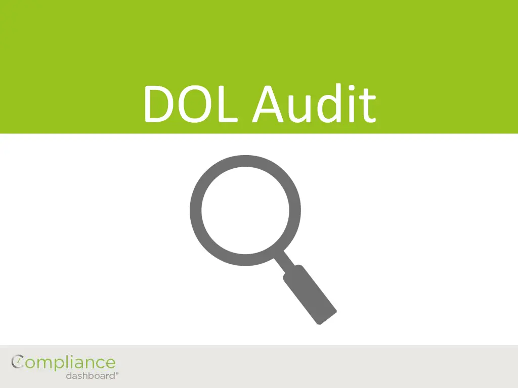 dol audit