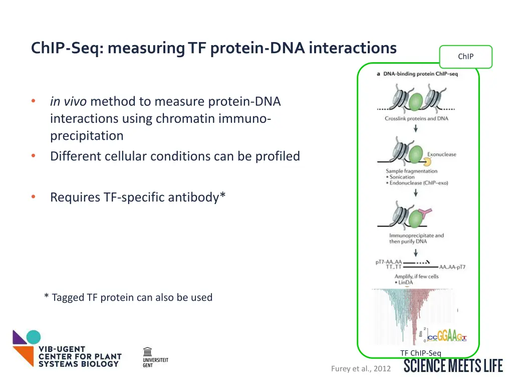 chip seq measuring tf protein dna interactions