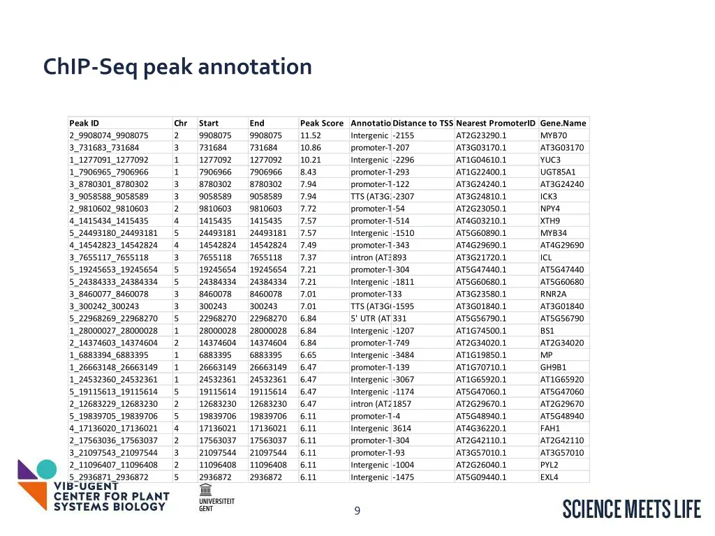 chip seq peak annotation