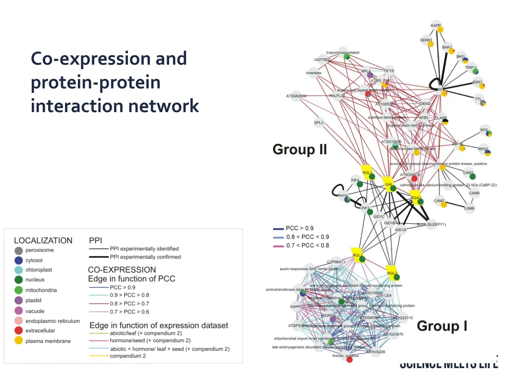 co expression and protein protein interaction