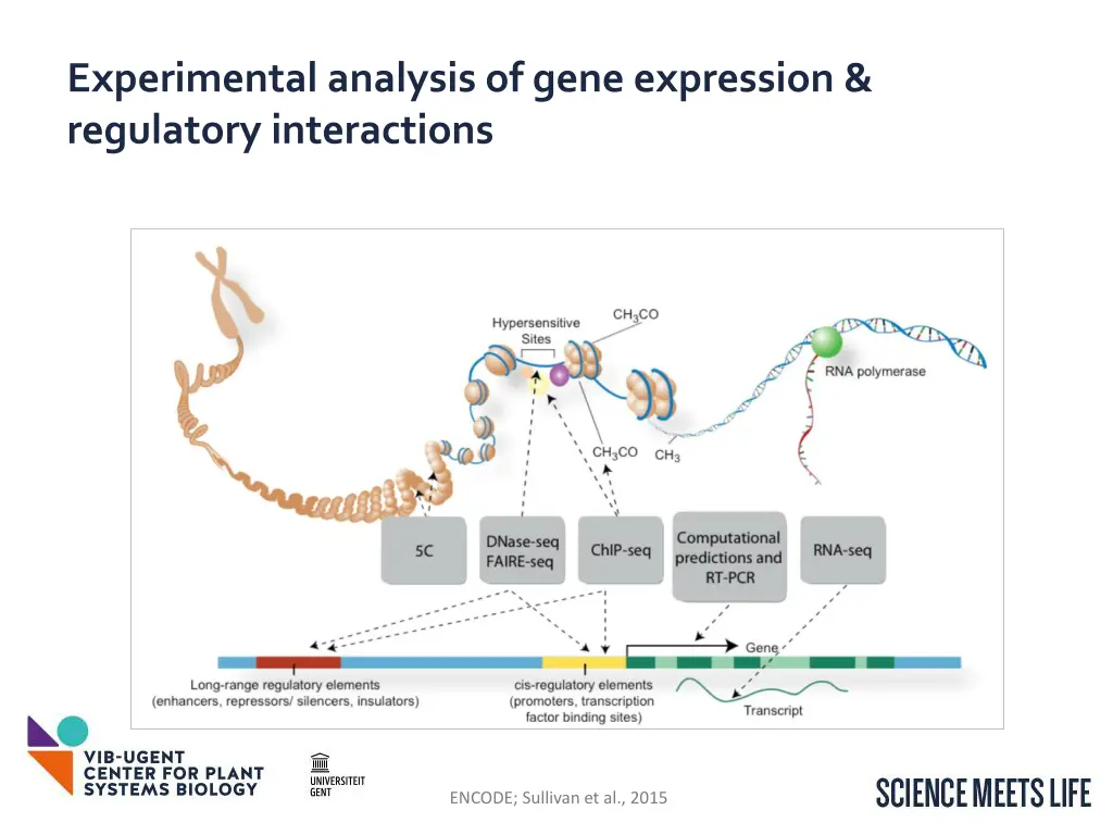 experimental analysis of gene expression