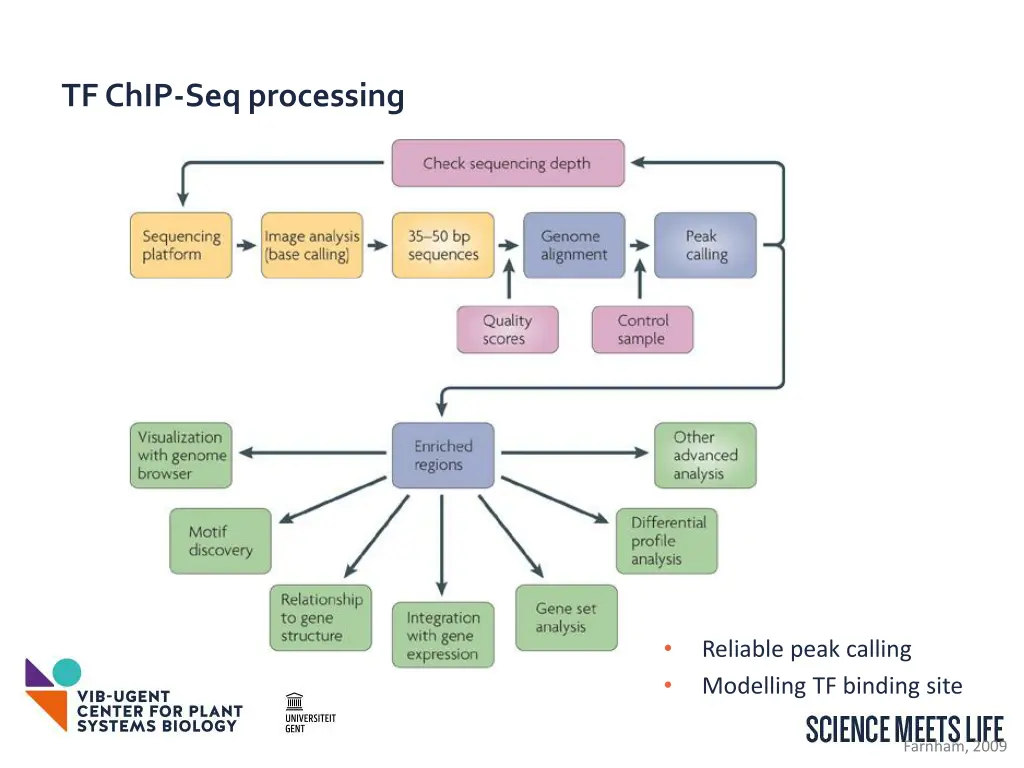 tf chip seq processing