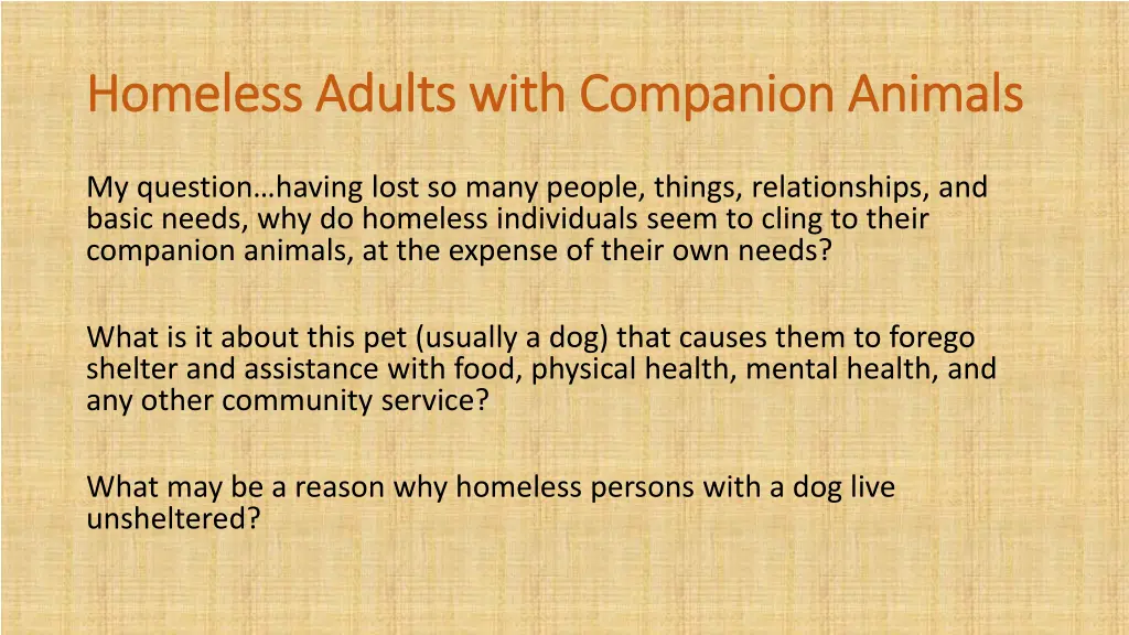 homeless adults with companion animals homeless 1