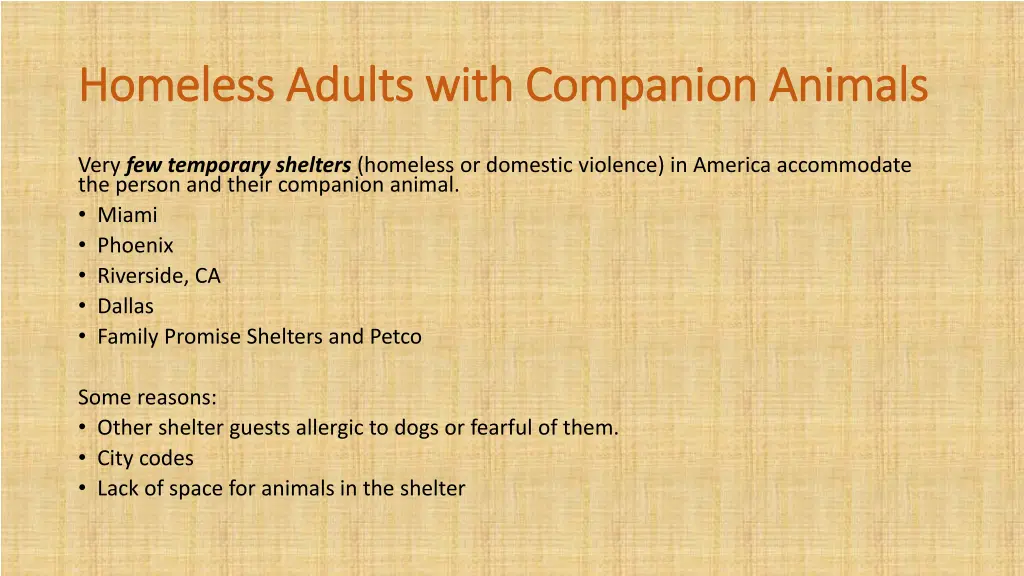 homeless adults with companion animals homeless 4