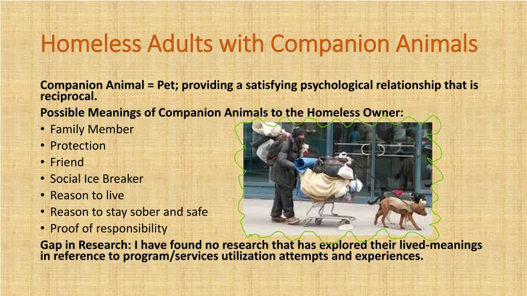 homeless adults with companion animals homeless 6