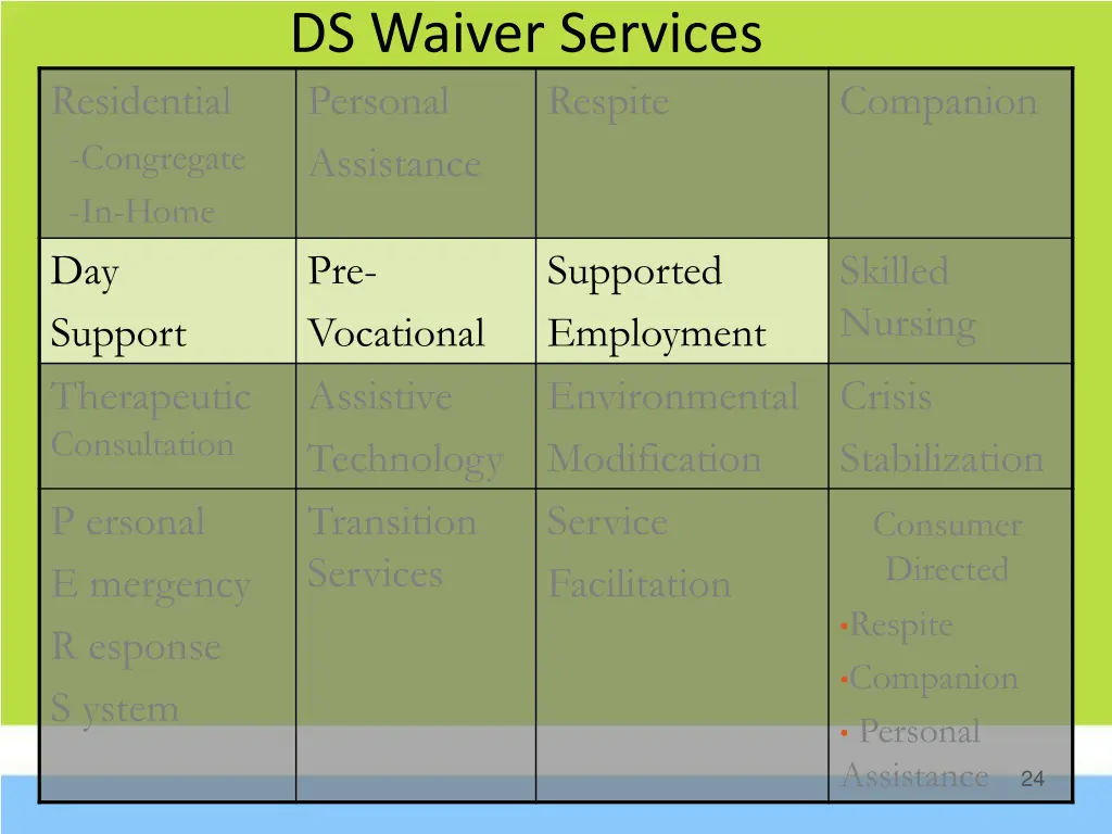 ds waiver services