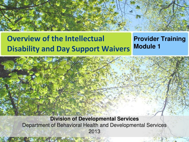 overview of the intellectual disability