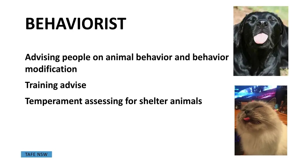 behaviorist