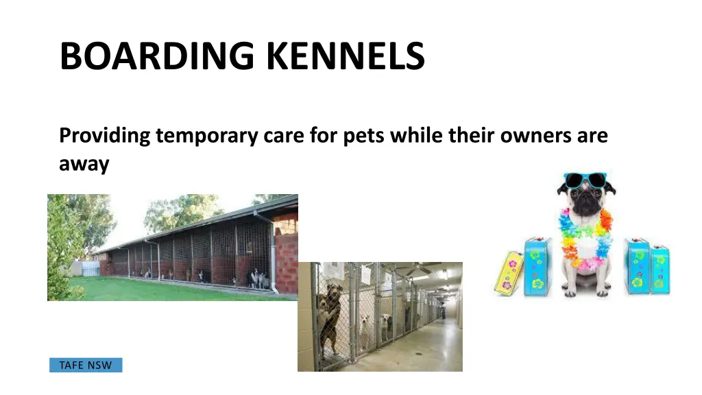 boarding kennels