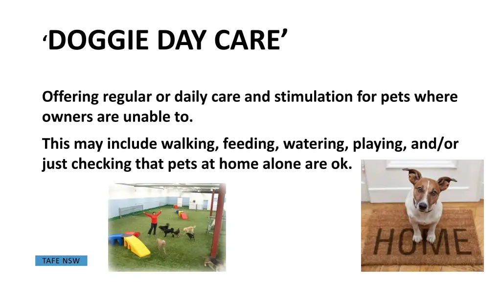 doggie day care