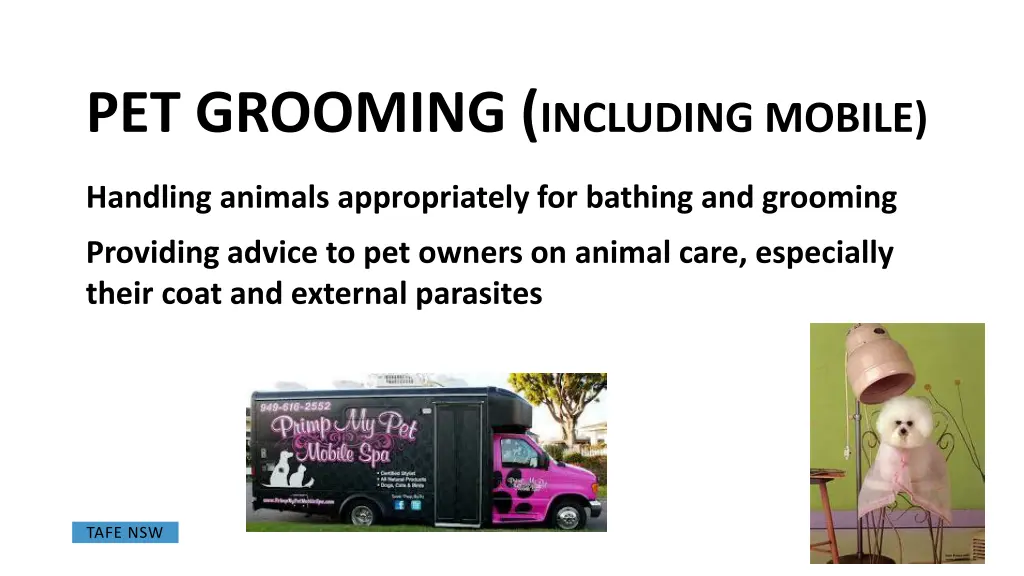 pet grooming including mobile