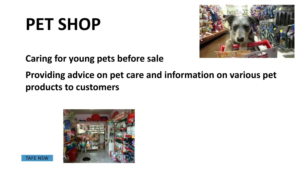 pet shop