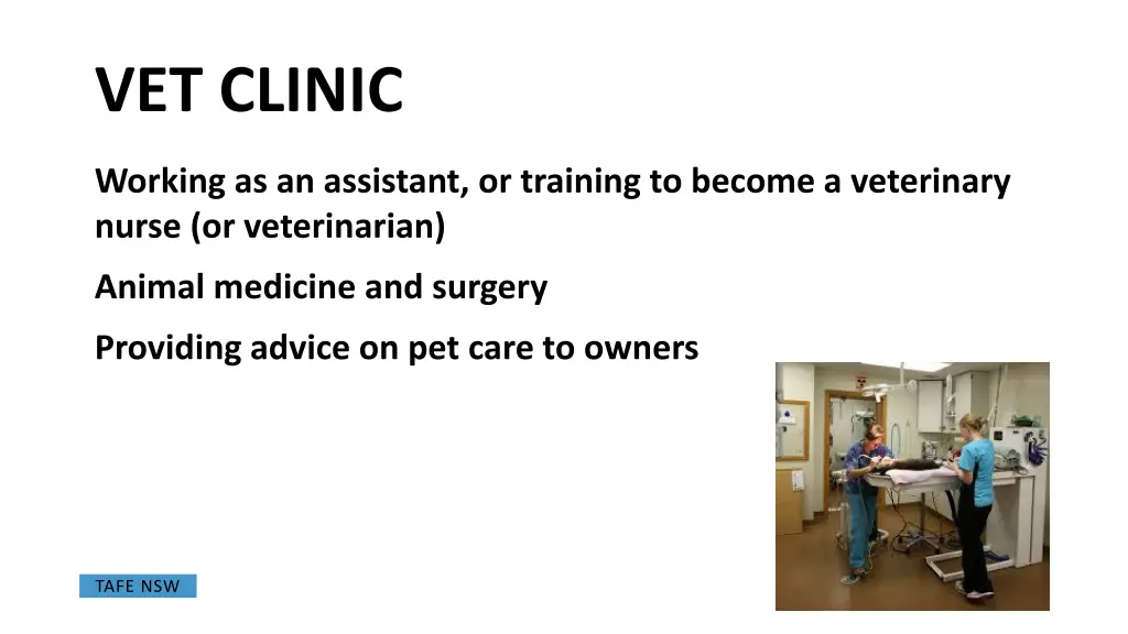 vet clinic