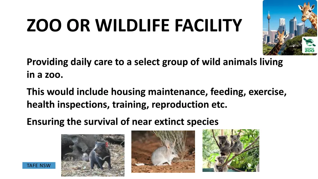 zoo or wildlife facility