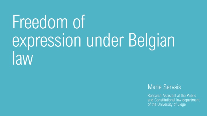 freedom of expression under belgian law