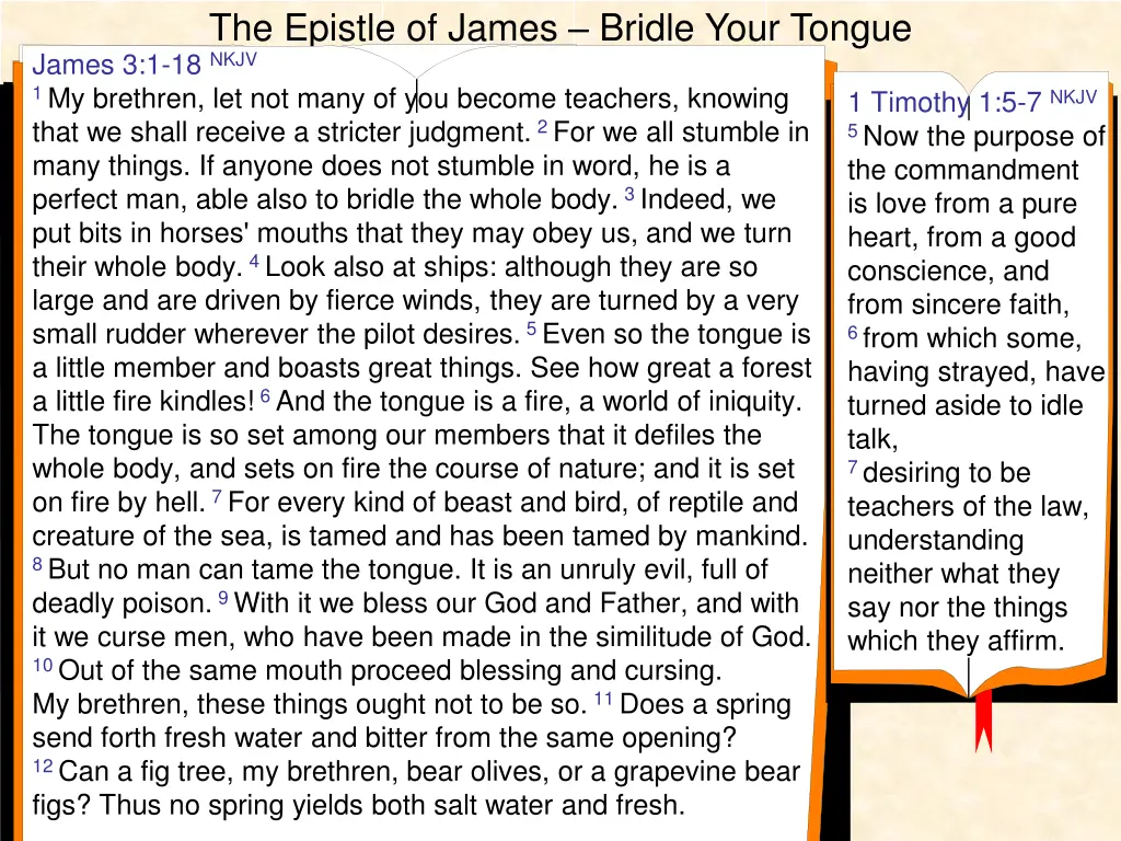 the epistle of james bridle your tongue james 1