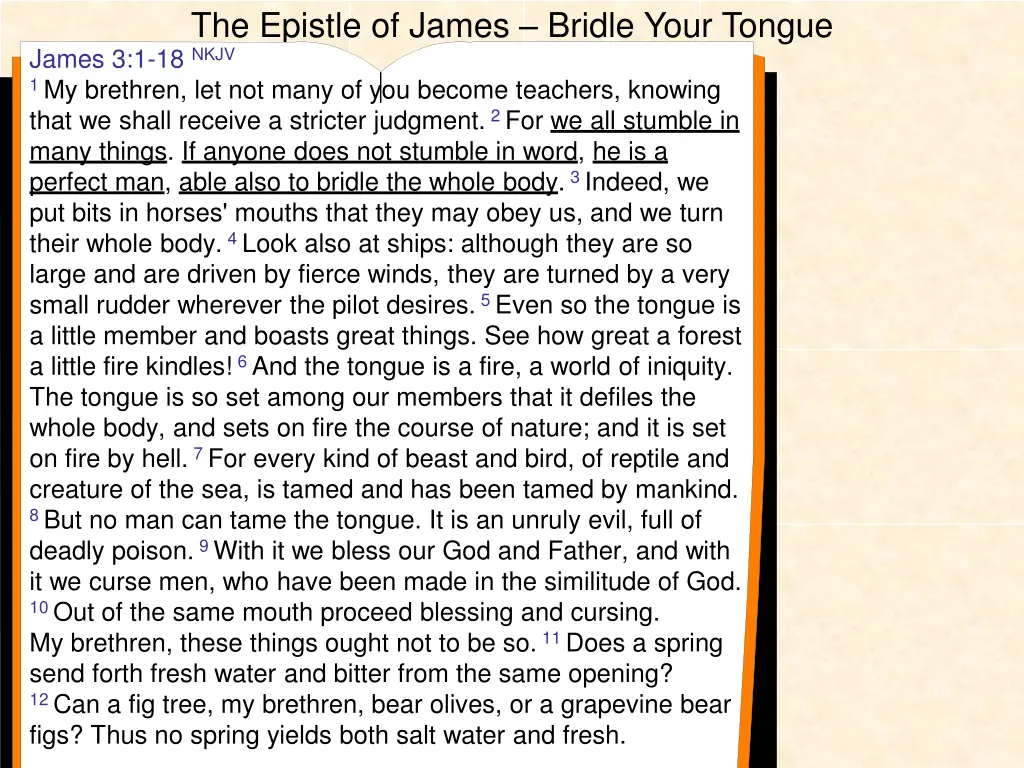 the epistle of james bridle your tongue james 2