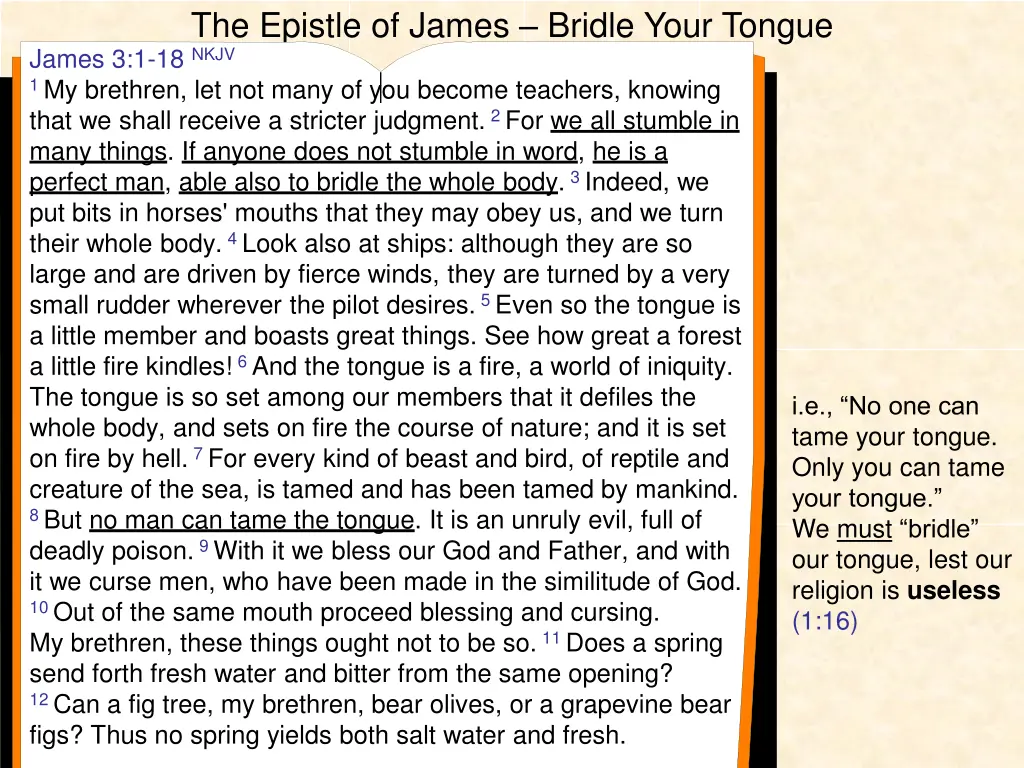 the epistle of james bridle your tongue james 3