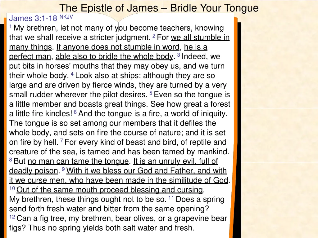 the epistle of james bridle your tongue james 4