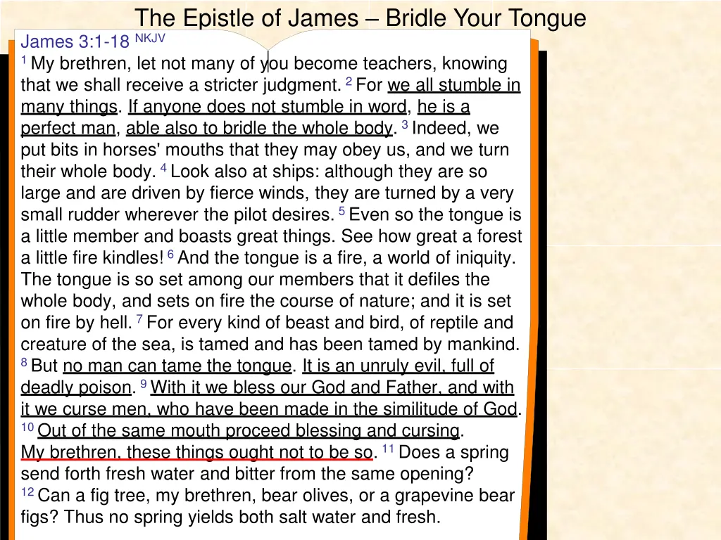 the epistle of james bridle your tongue james 5