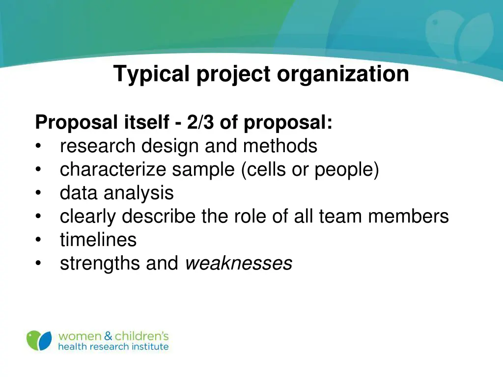 typical project organization 1