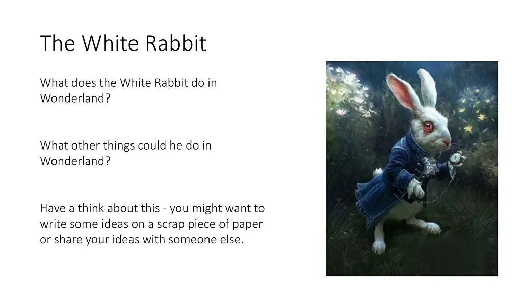 the white rabbit 1