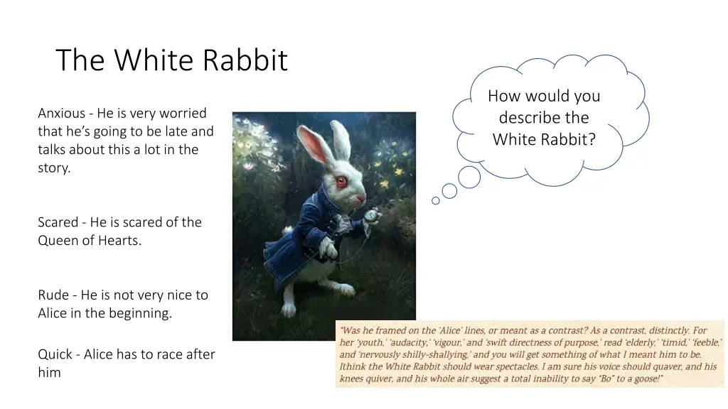 the white rabbit