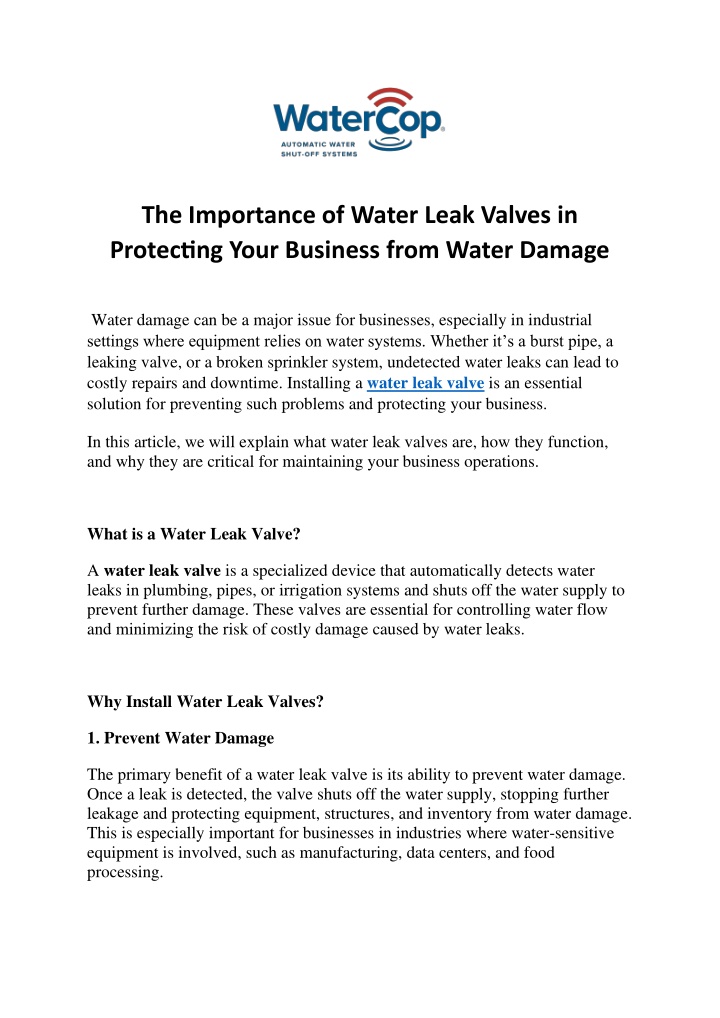 the importance of water leak valves in protecting