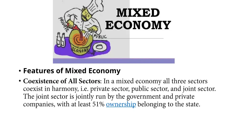 features of mixed economy