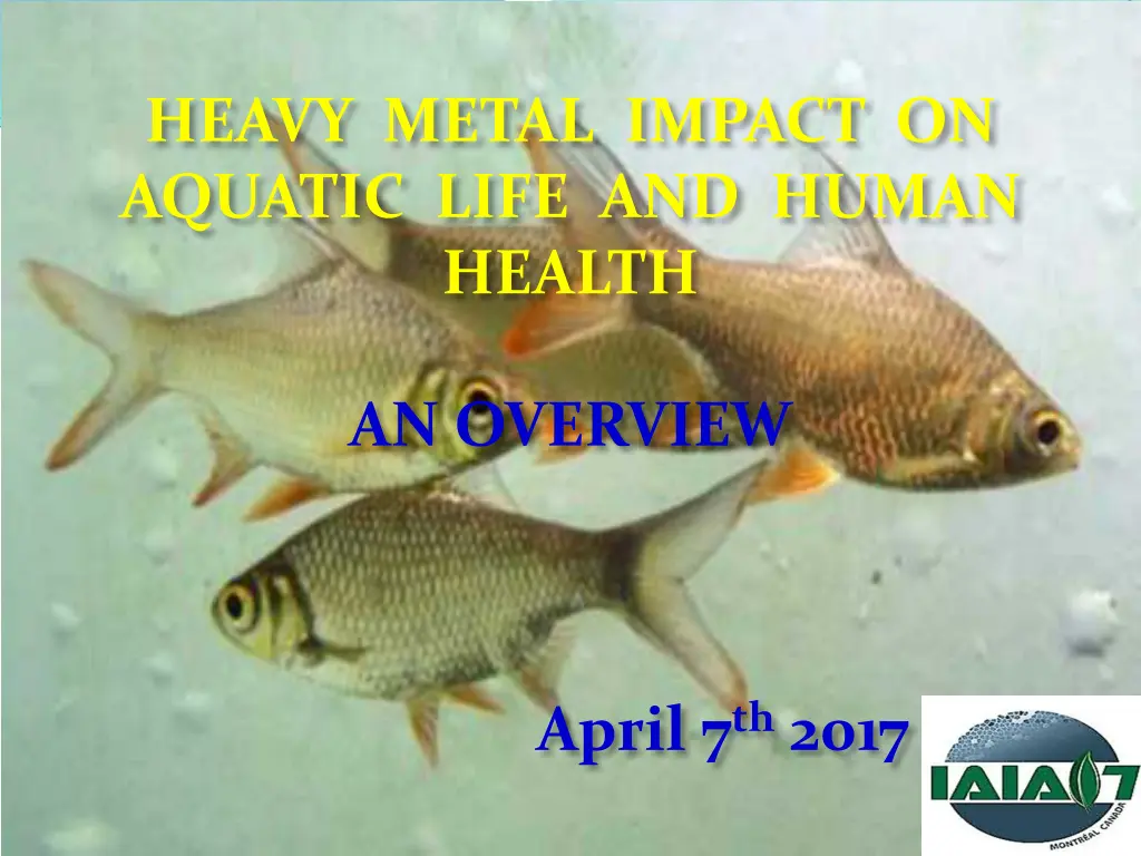 heavy metal impact on aquatic life and human