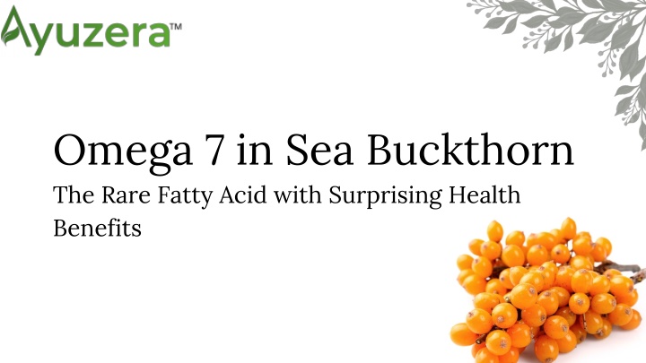 omega 7 in sea buckthorn the rare fatty acid with