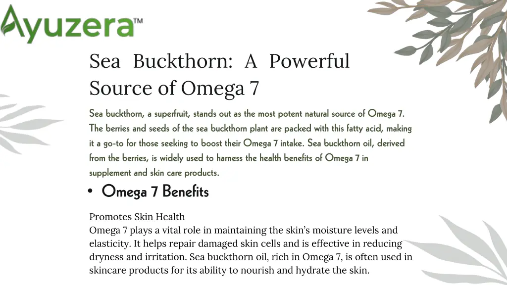 sea buckthorn a powerful source of omega 7